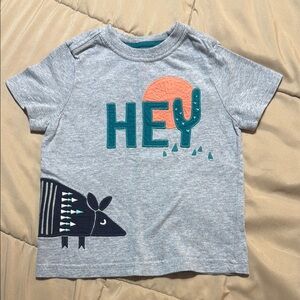 Gymboree Gray T-Shirt with Armadillo and Cactus Design